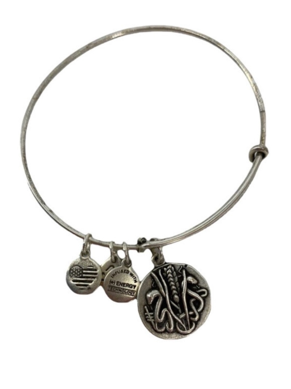 Alex and Ani Reed Bracelet - Silver